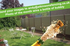 Photo Of The Month Wins A Bottle Of Bubbly